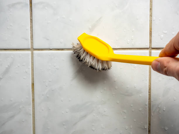 Best Localized Mold Remediation (e.g., coastal areas, humid climates) in Palos Verdes Estates, CA