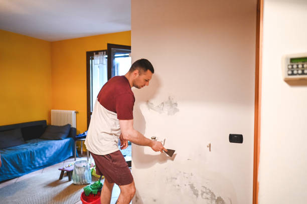 Best White Mold Remediation in Palos Verdes Estates, CA